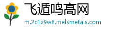 飞遁鸣高网 飞遁鸣高网